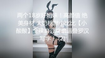 胸大无脑00后和炮友双飞