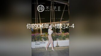 你的04年小情妇2-4