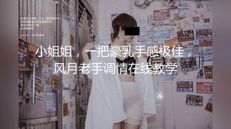 小姐姐，一把豪乳手感极佳，风月老手调情在线教学