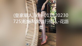 国产麻豆AV MD MD0014 连续被上的OL