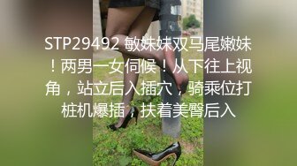 星空传媒 母狗or女王 幻想温柔乡反差老婆两级反转