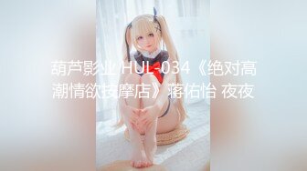 希島あいり-人妻秘書癡漢電車～服従に濡れる通勤淫行～