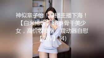 Al&mdash;刘亦菲 酒店泳装援交