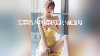 极品美胸连体黑丝OL装美女