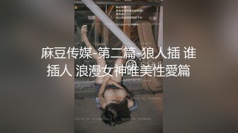 麻豆传媒-第二篇-狼人插 谁插人 浪漫女神唯美性愛篇