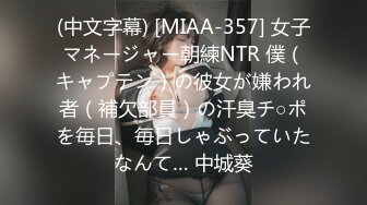 江波りゅうを手懐ける ～中出しを乞う淫乱性奴隷～