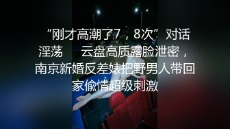 私が入れるために挿れさせる理由＜年間支払料の176％＞