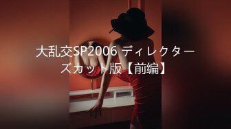 大乱交SP2006 ディレクターズカット版【前编】