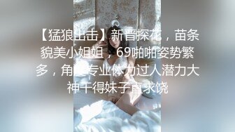 [2DF2]麻豆传媒三十天性爱企划之极品麻豆女郎的坚挺双乳1080p高清 [BT种子]