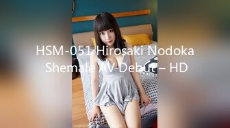 HSM-051 Hirosaki Nodoka Shemale AV Debut – HD