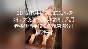 [2DF2]铁牛约兼职白领小少妇，大胸粉穴好似偷情，风月老将调情手段高气氛值满分 [BT种子]