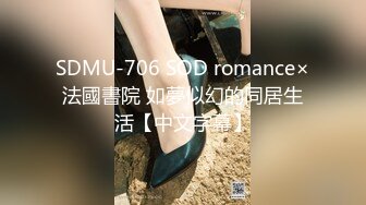 MDHT0021 麻豆传媒 奇淫旅社 禁欲穷游后的显身勾引 艾鲤