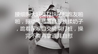 宜家女主角出新品尝先看 炮机肛交