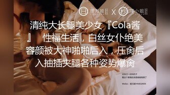 Felix Fox用身体洗车,被车主看了个正着-Sex Drive(下) 