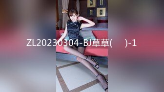 ZL20230304-BJ草草(초히)-1