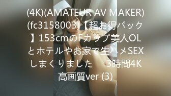 (4K)(AMATEUR AV MAKER)(fc3158003)【超お得パック】153cmのFカップ美人OLとホテルやお家で生ハメSEXしまくりました❤️3時間4K高画質ver (3)