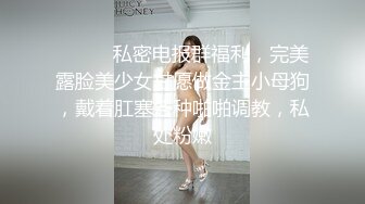 ⚫️⚫️私密电报群福利，完美露脸美少女甘愿做金主小母狗，戴着肛塞各种啪啪调教，私处粉嫩