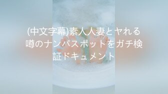 (中文字幕)素人人妻とヤれる噂のナンパスポットをガチ検証ドキュメント