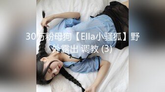 30万粉母狗【Ella小骚狐】野外露出 调教 (3)