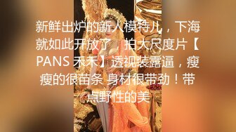 新鲜出炉的新人模特儿，下海就如此开放了，拍大尺度片【PANS 禾禾】透视装露逼，瘦瘦的很苗条 身材很带劲！带点野性的美