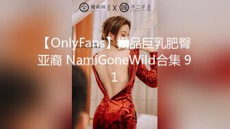 【OnlyFans】极品巨乳肥臀亚裔 NamiGoneWild合集 91