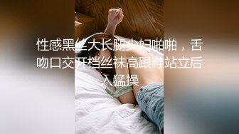 性感黑丝大长腿少妇啪啪，舌吻口交开档丝袜高跟鞋站立后入猛操